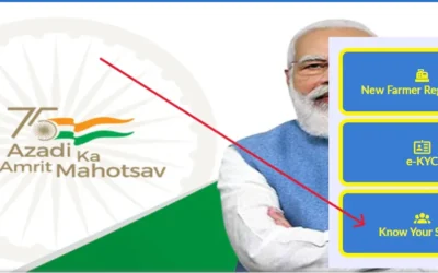 PM Kisan Samman Nidhi 20th Installment 2025: Over 6 Lakh Farmers to Receive ₹2000 Soon Pm Kisan